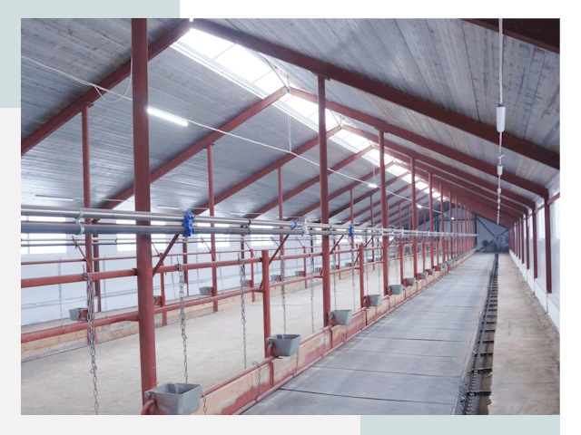 Строительство коровников в Серпухове от 610 руб.