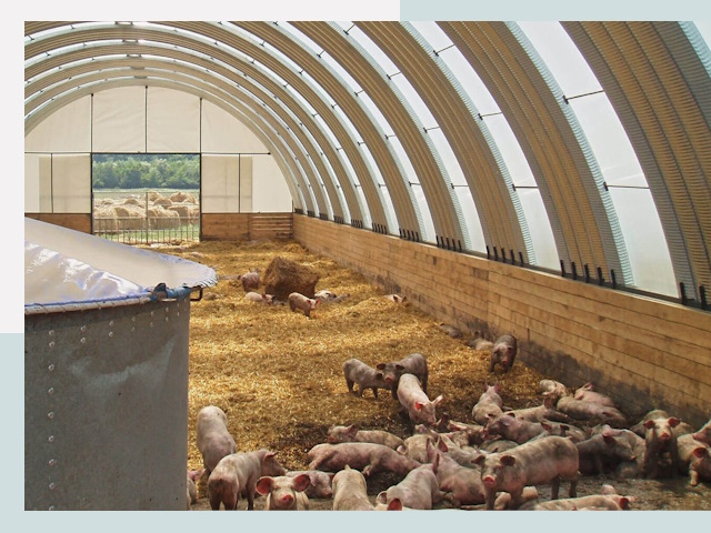 Строительство свинарников в Серпухове