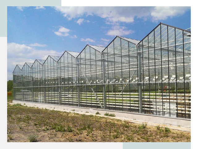Строительство теплиц в Серпухов от 610 руб. за м²